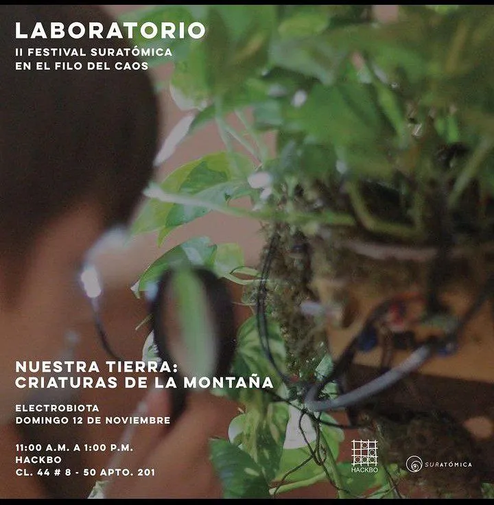 Domingo 12 de Noviembre, 2023 | Nuestra tierra: Criaturas de la Montaña por Electrobiota | Festival en el filo del caos | Suratómica