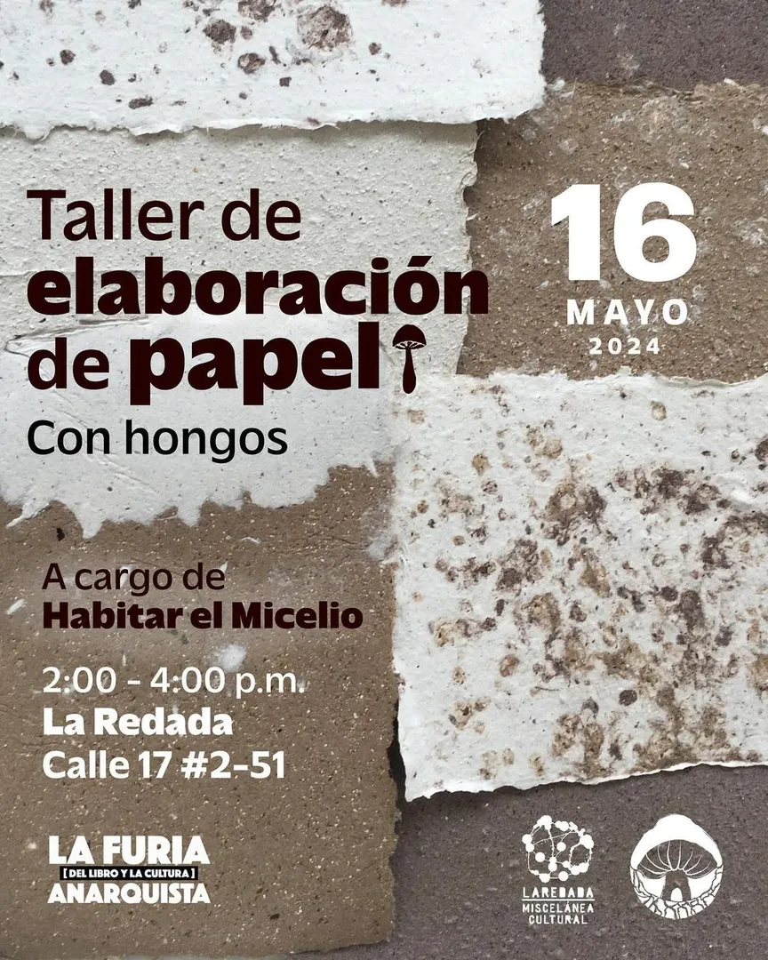 Hacer papel con hongos | La Furia [del libro y la cultura] Anarqista | mayo 2024.