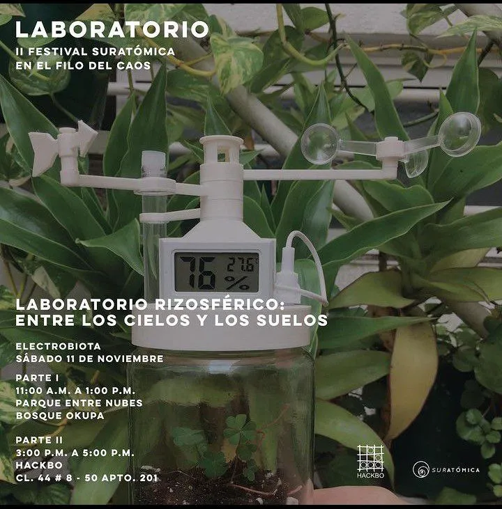 Sabado 11 de Noviembre, 2023 | Laboratorio Rizosférico: Entre los Cielos y los Suelos por Electrobiota | Festival en el filo del caos | Suratómica